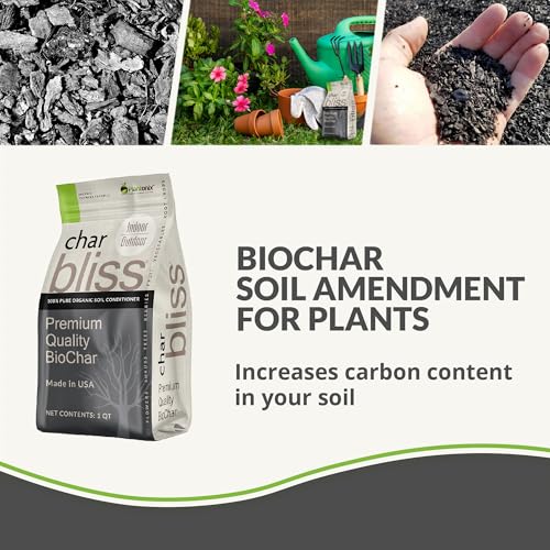 Char Bliss 1 Cubic Ft (192 Ounce)