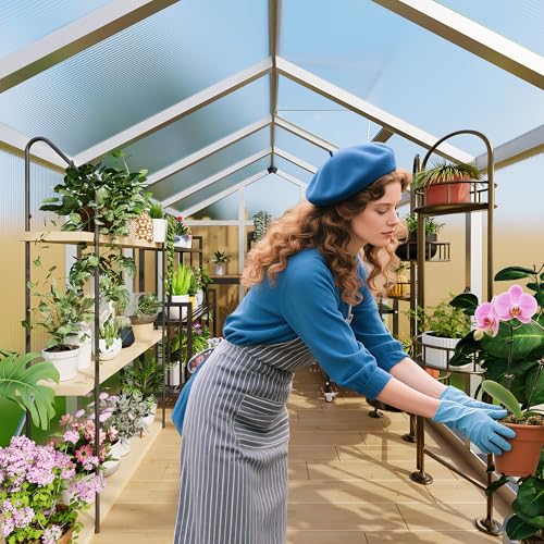 8x12 FT Greenhouse for Outdoors (Silver / 8x12 FT)