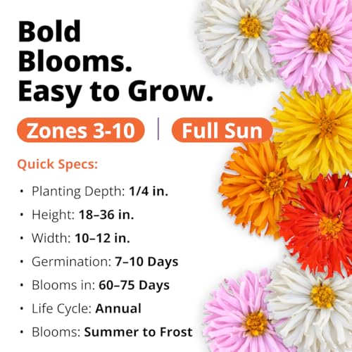 Cactus Mix Zinnia Seeds