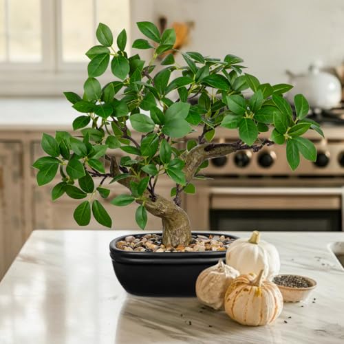 Artificial Bonsai Tree 12.9 Inch Faux Ficus Plant in Ceramic Pot with Pebbles Fake Green Potted Plant for Home Office Desk Decor Indoor Zen Table Centerpiece (Green)