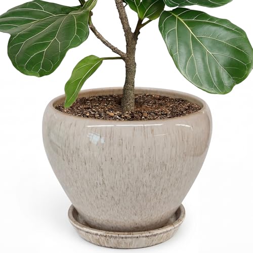 10 Inch Plant Pot
