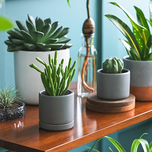 2 Pack Ceramic Pots & Saucers (2 Count)