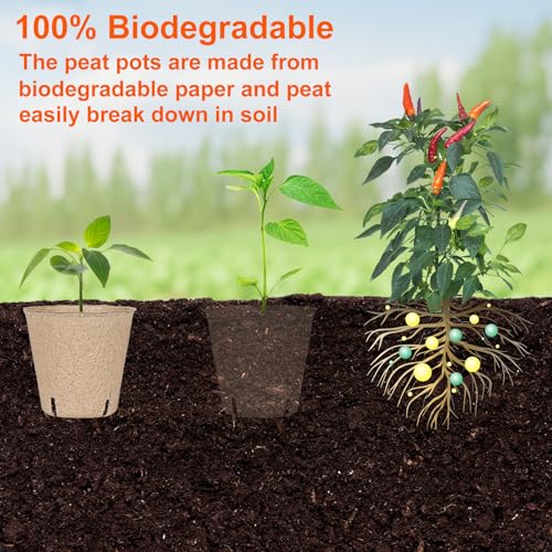 120 Packs 3.15 Inch Peat Pots (3.15INCH)