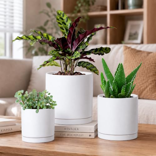 3 Pack White Terracotta Pots & Saucers (4+5+6 Inch / White)