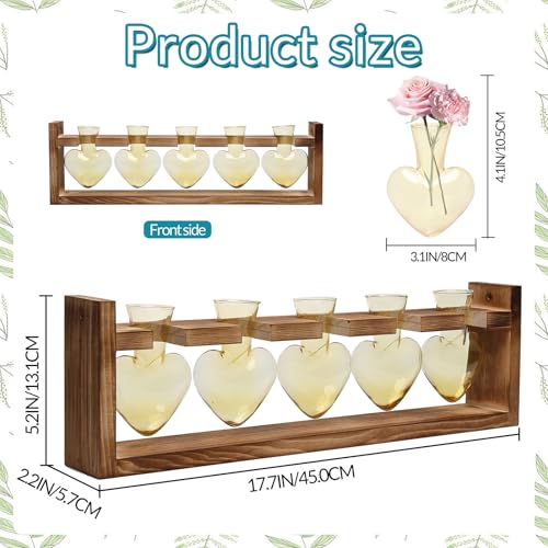 Plant Terrarium Hanging Propagation Stations Gift for Women