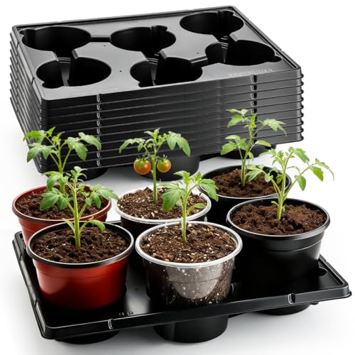 6 Cell Round Nursery Pot Trays for 6 Inch Pots (10 Count)
