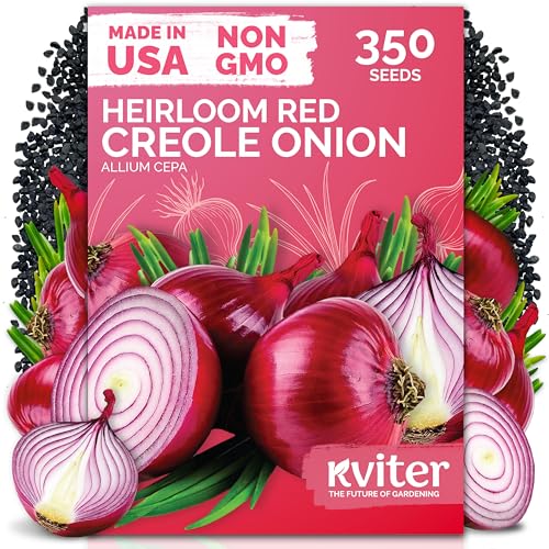 350 Red Creole Onion Heirloom Vegetable Seeds for Planting