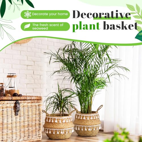 Large Wicker Plant Basket with Handle 10 Inch Woven Seagrass Belly Basket and Artificial Moss for House Plants Picnic Grocery Laundry Storage Home Decor (Large / Boho)