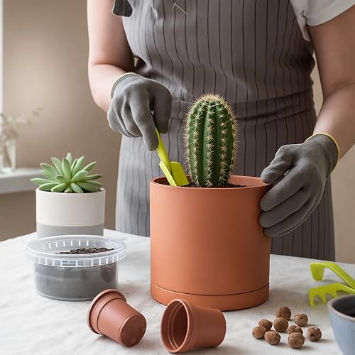 3 Pack Classic Terracotta Pots & Saucers (5+6+8 Inch / Terracotta)