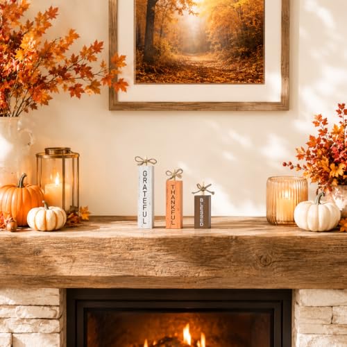 Smile Fall Wooden Decor Signs Set BLESSED GRATEFUL THANKFUL (Letter Fall)