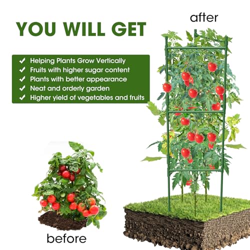 6 Pack Tomato Cage (6 pack)