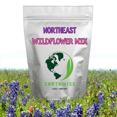 Earthwise Northeast Native Wildflower Seed Mix (1 lb)