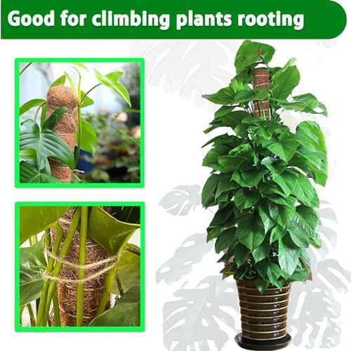 Moss Pole 4 Pack 17Inch Monstera Plant Support for Climbing Plants Accessories Indoor (4 Count)