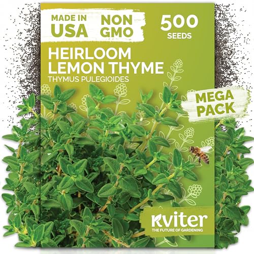 500 Lemon Thyme Heirloom Herb Seeds for Planting