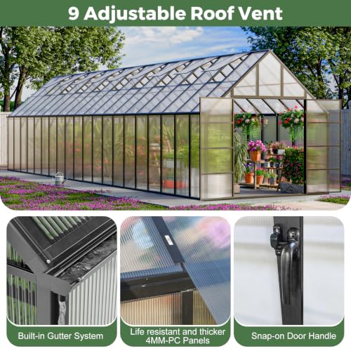 10x40 FT Greenhouse for Outdoors