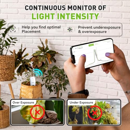 3-in-1 APP Remote Monitoring WiFi Soil Meter Indoor/Outdoor (Sensor + Hub / White)