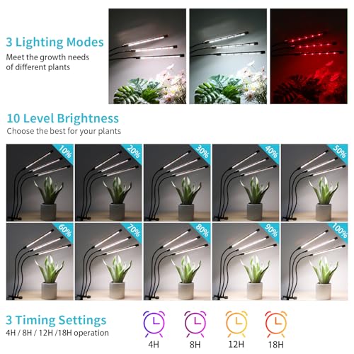 Black Grow Lights for Indoor Plants