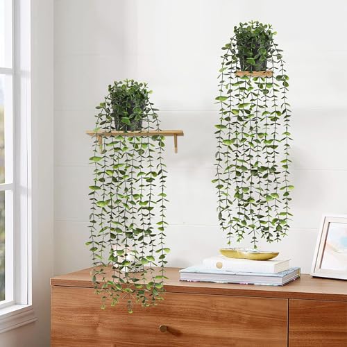 2Pcs Fake Hanging Plants with Pot (Eucalyptus Vines / 2Pcs Plants with Pot)
