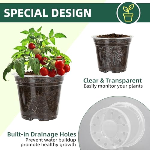 40 Pack10 & 8 Inch Large Clear Nursery Pots with Drainage (Clear / 10/8 Inch)