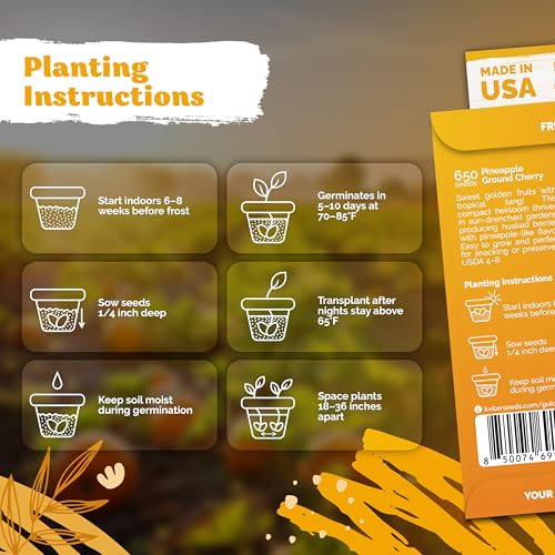 650 Aunt Molly Ground Cherry Heirloom Vegetable Seeds