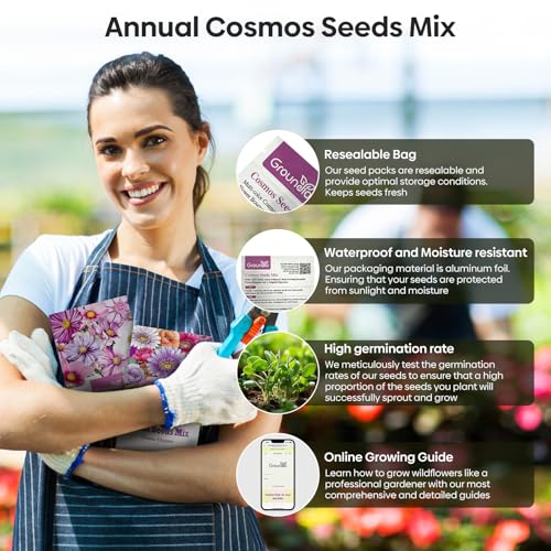 Cosmos Seeds Wildflower Mix 1 Oz