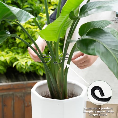 Monstera Plant Support 5.5IN (Black / 5.5IN*5.5IN)