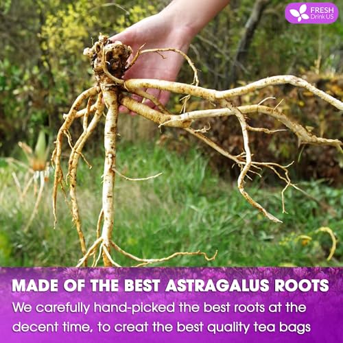 Premium 55 Bags Astragalus Root Tea (55 TEA BAGS)