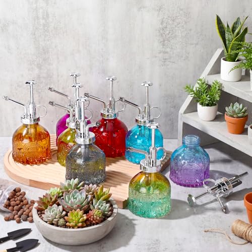 8 Pcs Glass Plant Mister Spray Bottle 200ml Vintage Plant Spritzer Multicolor Succulent Watering Bottle Watering Can 6.4'' with Plastic Top Pumps for Indoor Outdoor Garden Plants (Silver)