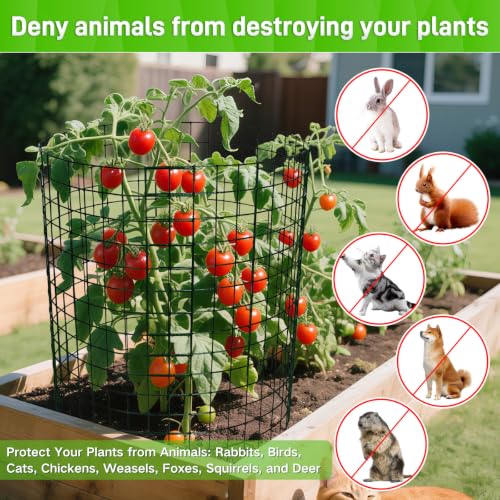 16 Pack 20x12 inch Plant Protector (16 Count)