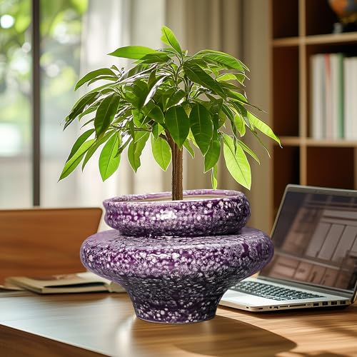 Ceramic Planters (Purple (11.2 X 7.8 In))