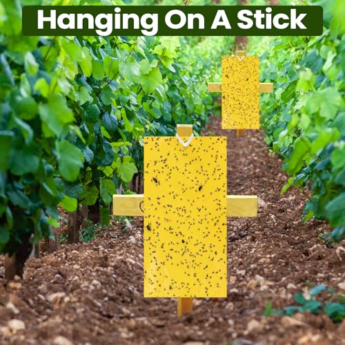 50 Pcs Yellow Sticky Traps for Gnats (9.8 x 5.9 Inch / Yellow)