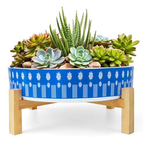 Succulent Pots (Floral 1)