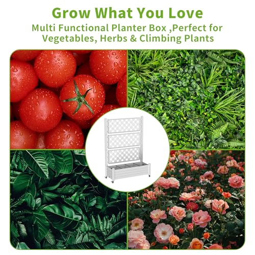 Mobile Raised Garden Bed with Trellis & Locking Wheels (Ashen / 43.43*18.27*64.29)