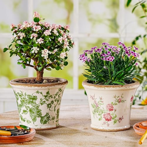 Ceramic Flower Pots (Round - 2pcs - Green & Pink)