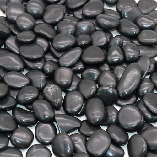 Black Polished Rocks for Plants (288 Ounce)