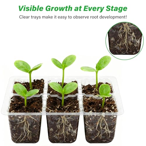 10 Pack Seed Starter Trays (Clear / 60 XL Cells)