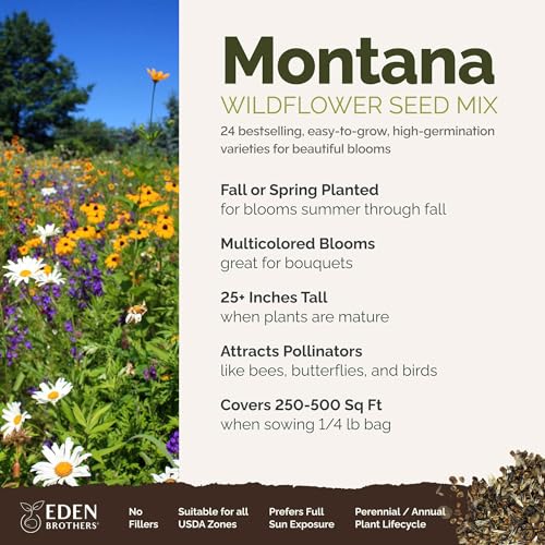 Montana Wildflower Mixed Seeds for Planting