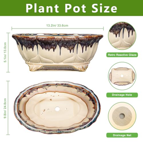 Ceramic Bonsai Pots (13.5 Inch / Oval Beige-brown)