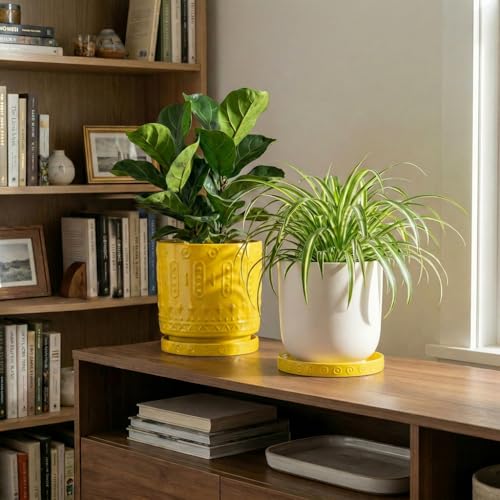 Plant Trays for Pots (5.6 Inch (2 Pack) / Yellow)