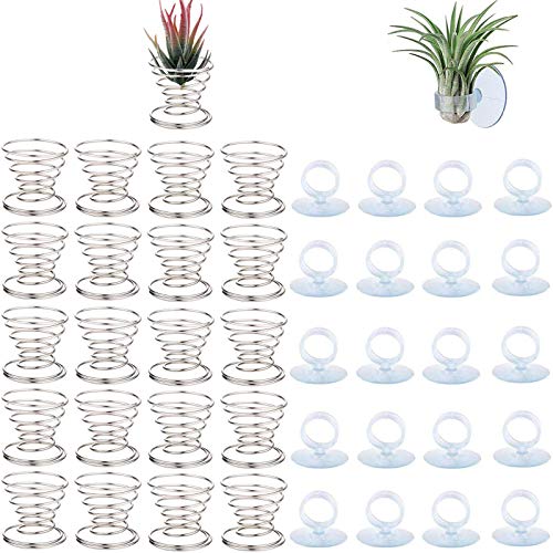 40 Pack Air Plant Stand Holder Tillandsia Airplant Container with Suction Cup Tabletop Planter Display Racks for Hanging Tillandsia House Plants (40 Count)