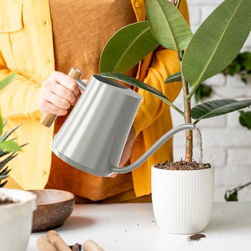 1L 35oz Metal Watering Can Indoor with Long Spout (Gray)
