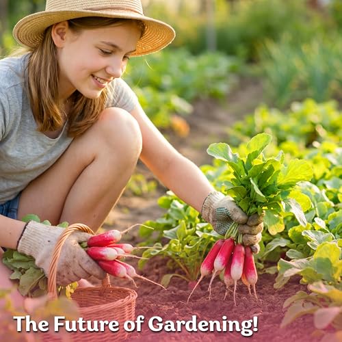 550 French Breakfast Radish Heirloom Vegetable Seeds