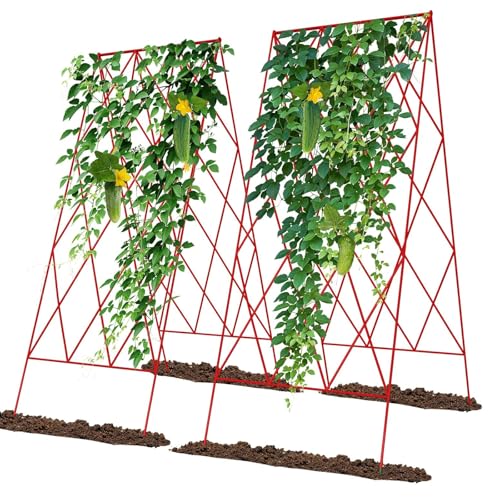 Cucumber Trellis 2 Pack (Garnet Red / 39.4" H)
