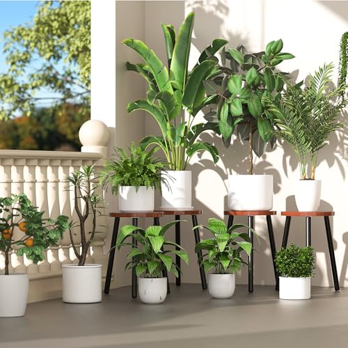 2 Pack Wood Plant Stands Indoor (Brown Tray with Black Legs / 2 Pack)