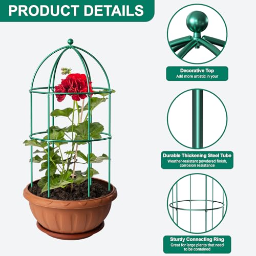 6 Pack Peony Cage (31.5"H x 15.7"W/6PC / Green)