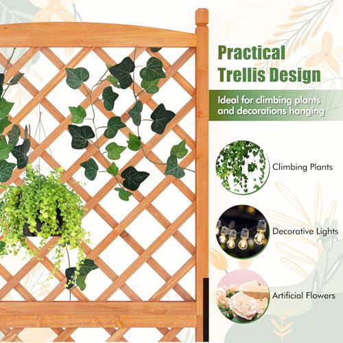 60” 2 Raised Garden Bed with Trellis (28" x 13" x 60")