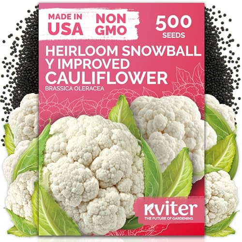 500 Snowball Y Improved Cauliflower Seeds for Planting