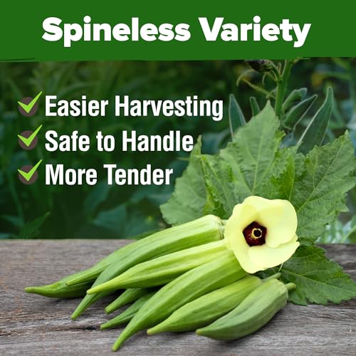 Clemson Spineless Okra Seeds (2 Count)