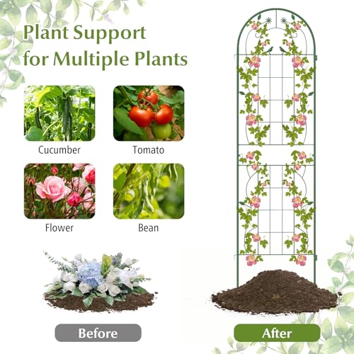 2 Pack Garden Trellis (71"x20" (2 Pack) / Green)
