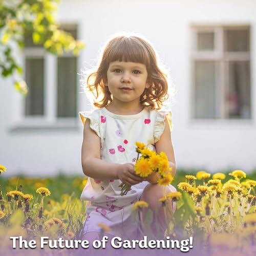 750 Dandelion Heirloom Flower Seeds for Planting
